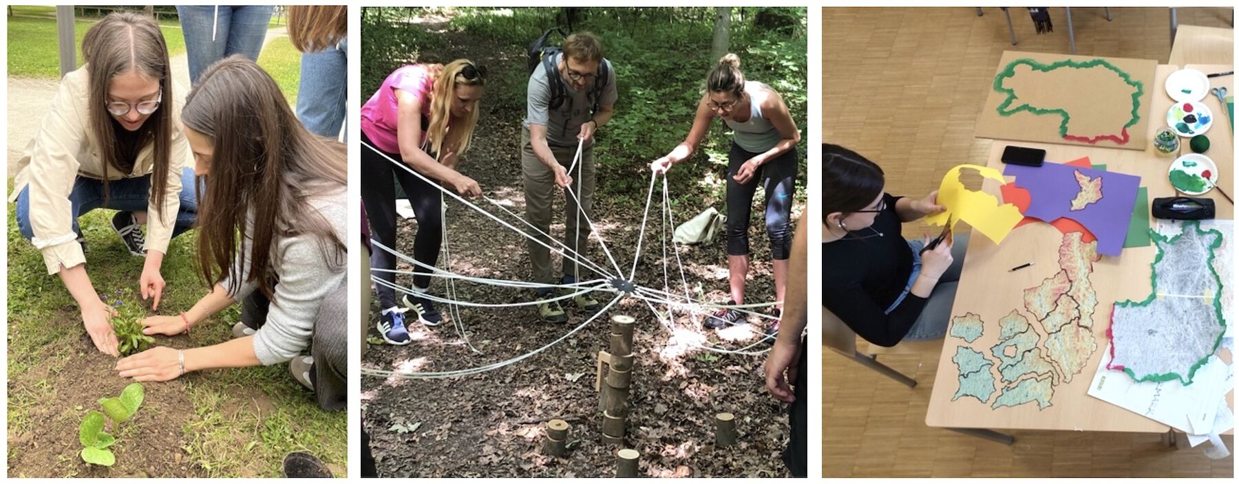 dreiteiliges Bild: Studierende im Wald, beim Pflanzen, beim Kartographieren