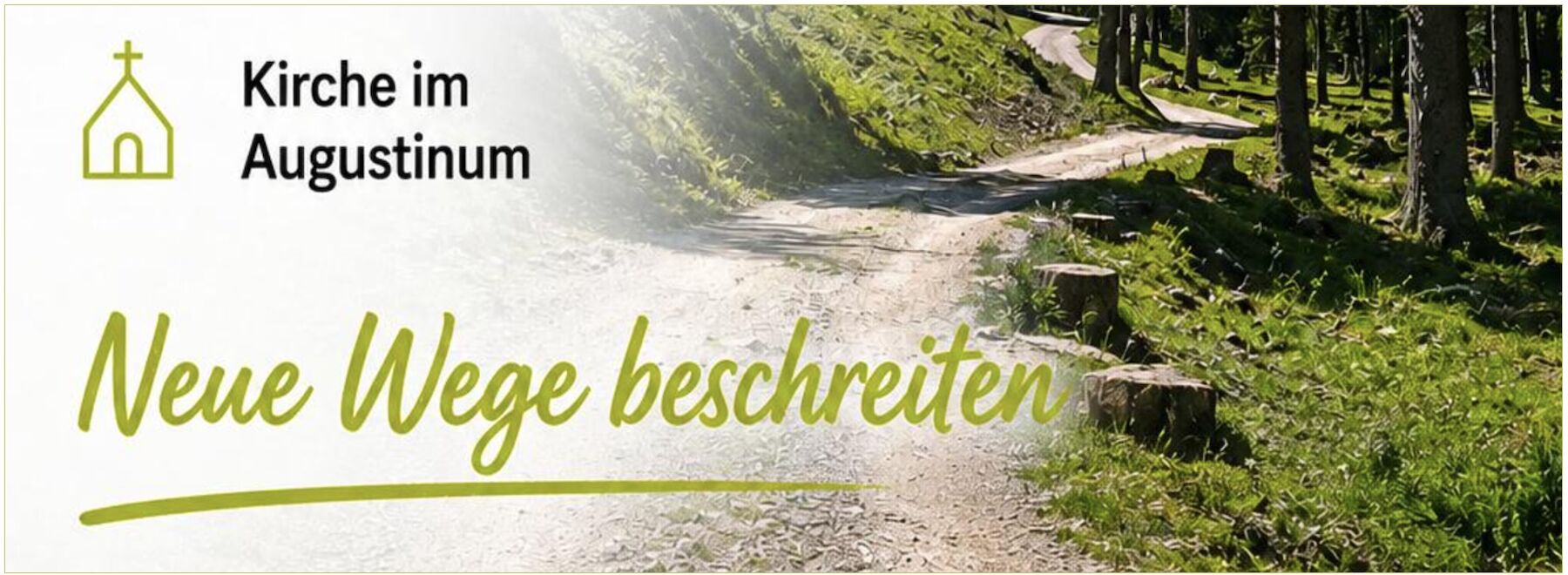 Dekorativbild: Wald im Hintergrund