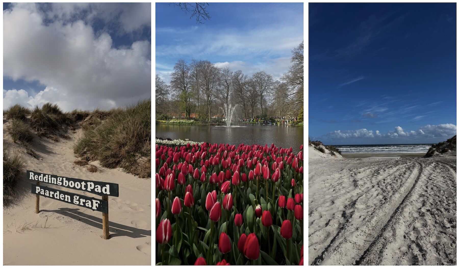 dreiteiliges Bild: Eindruck am See und am Meer