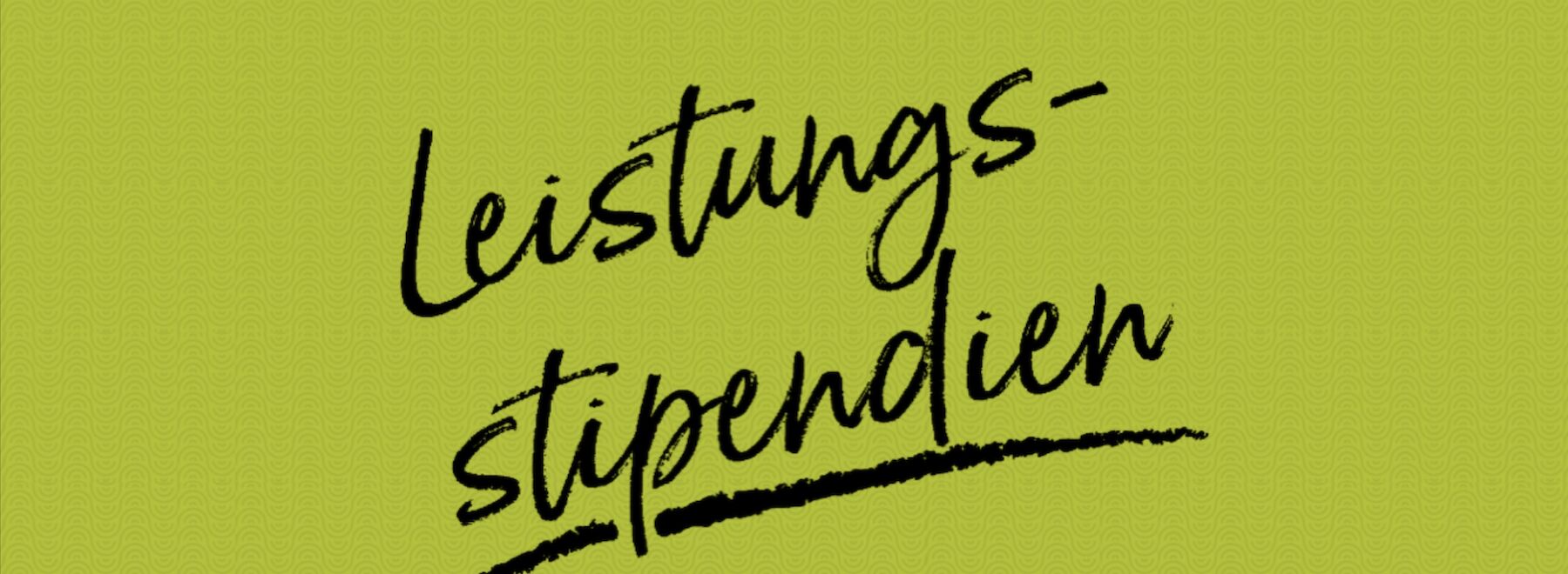 Leistungsstipendium: Logobild